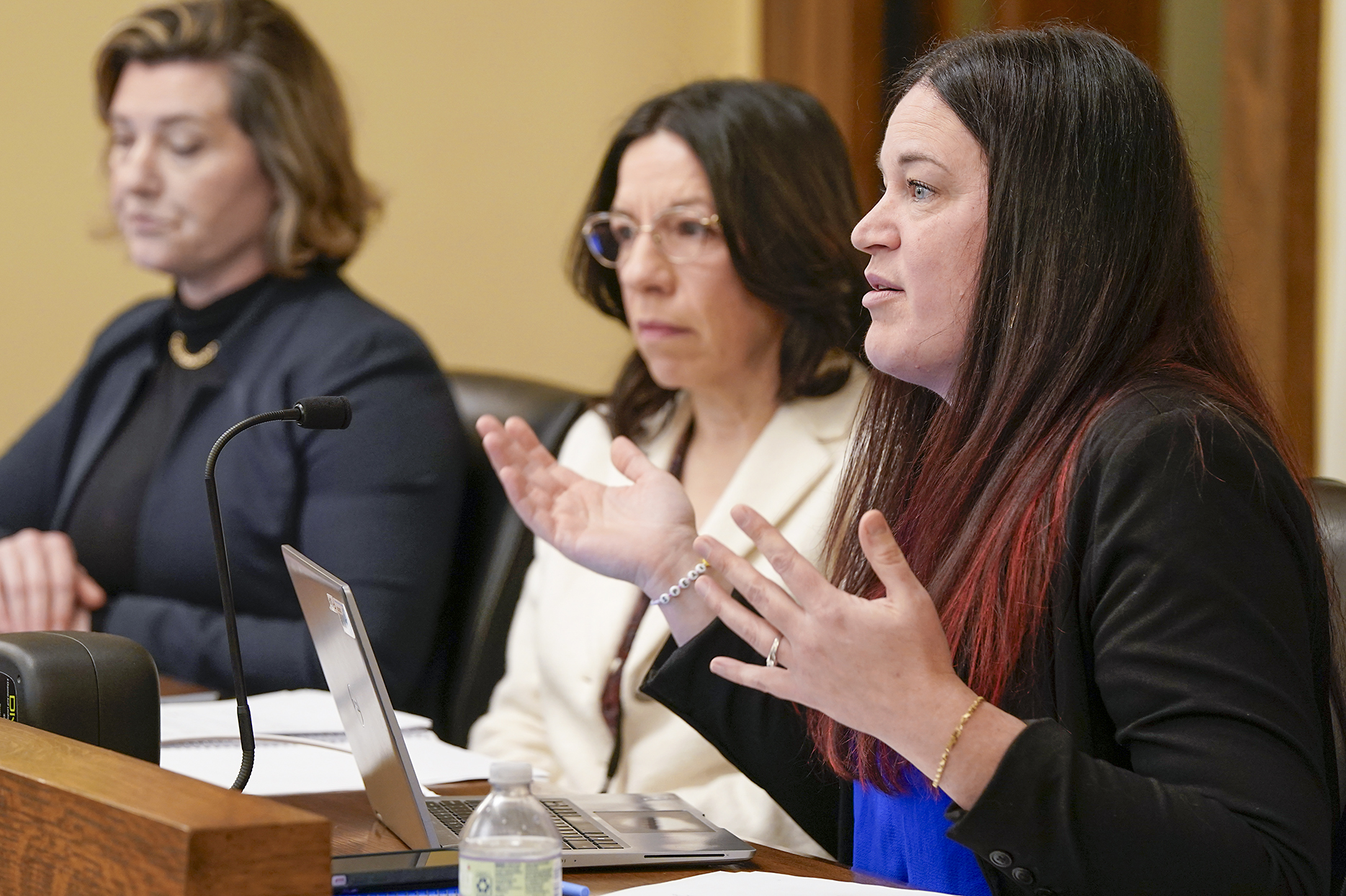 Department of Human Services Budget Director Elyse Bailey presents an overview of the governor’s budget recommendations to the House Human Services Finance and Policy Committee Feb. 13. (Photo by Michele Jokinen)